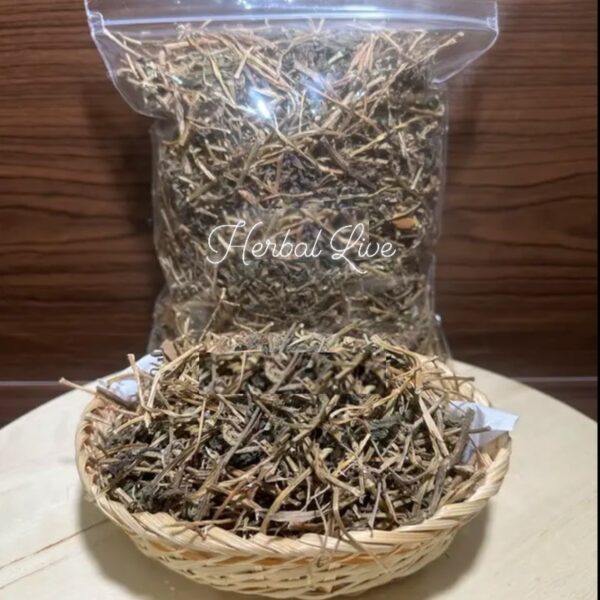 Daun Binahong Kering 100 gr
